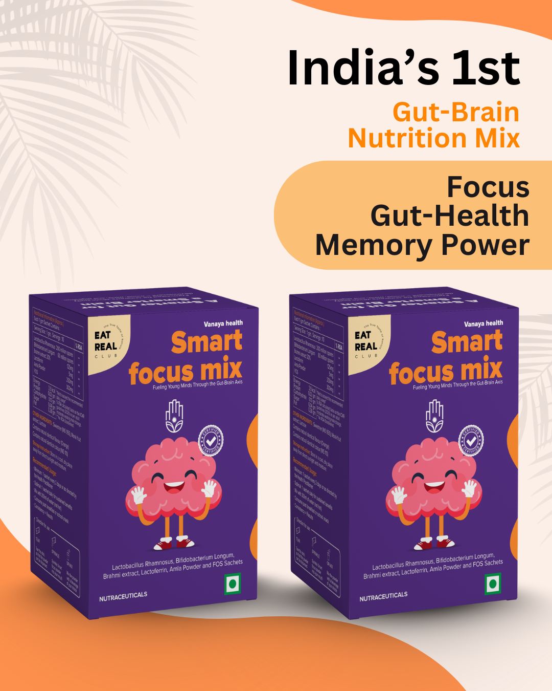 Smart Focus Mix – Kids’ Focus, Calm Energy & Digestive Support 60g (Pack of 2)