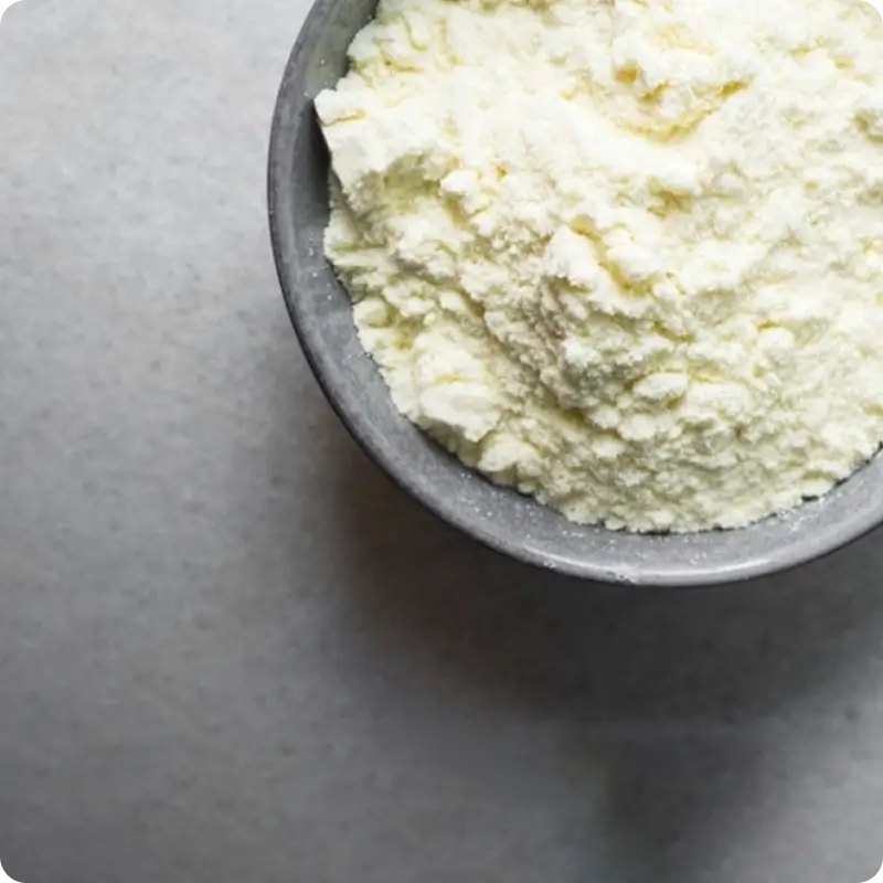 Milk Protein Isolate